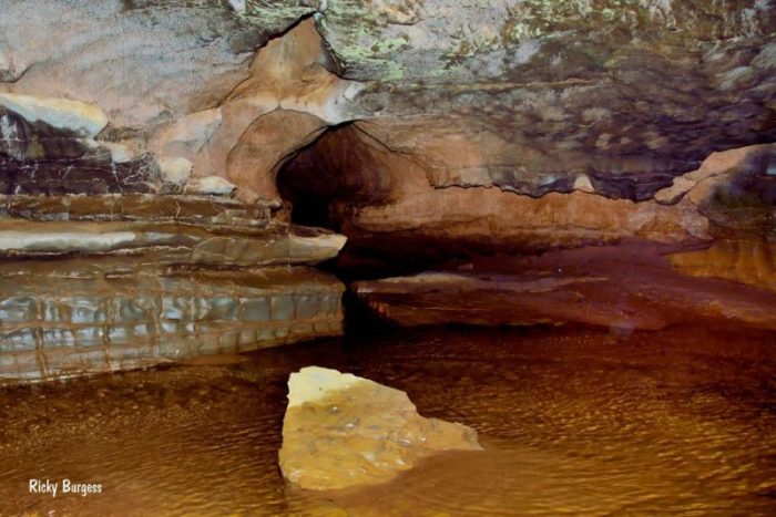 Sinks of gandy cave map