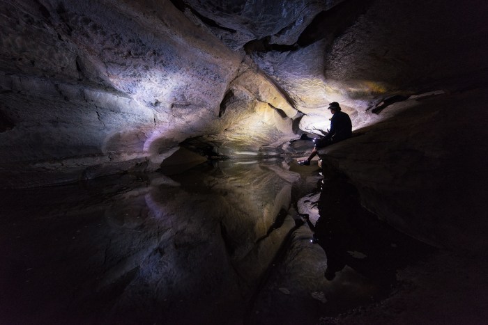 Sinks of gandy cave map