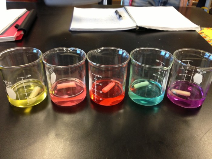 Biology lab diffusion osmosis ap