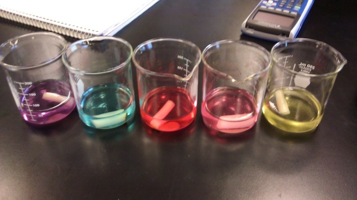 Ap biology diffusion and osmosis lab