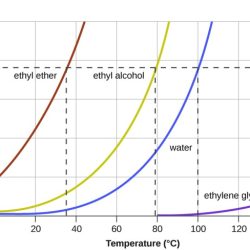 Vapor pressure and boiling worksheet