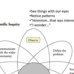 Pogil scientific inquiry answer key