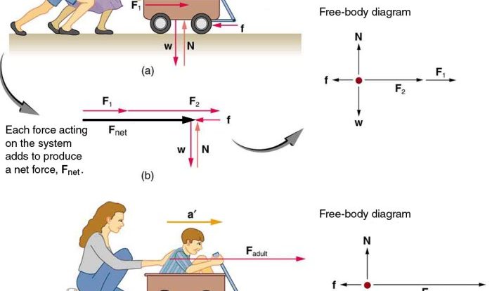 Newton's second law of motion problems worksheet