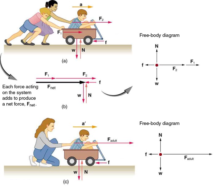 Newton's second law of motion problems worksheet