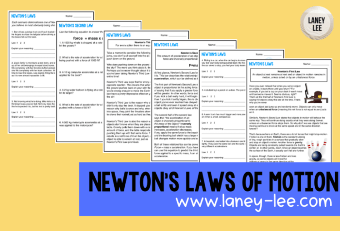 Newton newtons