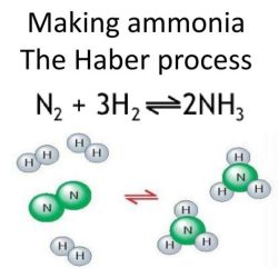 Ammonia is produced commercially by the haber reaction